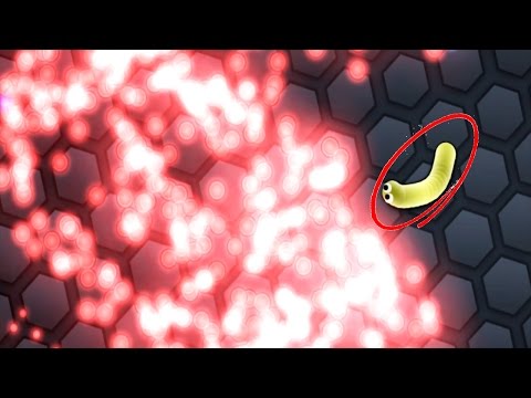 Видео: Slither.io — самая быстрорастущая маленькая змея