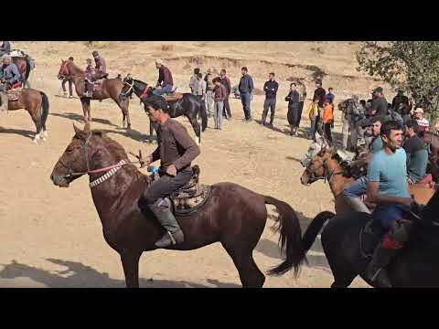 Видео: Бузкаши ноҳияи Ховалинг 19-10-2025