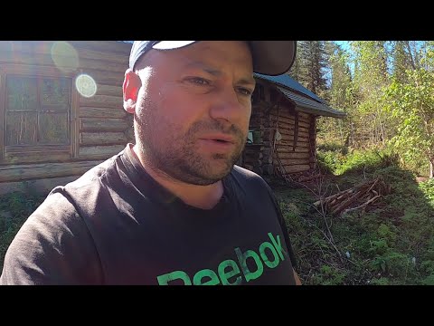 Видео: Живу один в тайге нашел избу, ловлю и готовлю рыбу, таежный быт, осенняя ловля хариуса на обманки