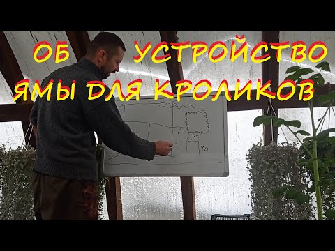 Видео: Обустройство ямы для кроликов!!!