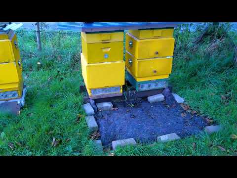 Видео: Борьба с клещём продолжается