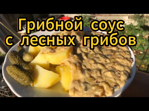 Видео: ГРИБНОЙ СОУС с СМЕТАНОЙ, или ГРИБНАЯ ПОДЛИВА с лесных грибов. Новые дегустаторы в кадре. Хутор LV