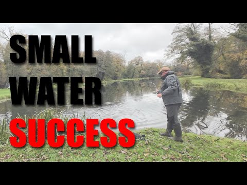 Видео: Ловля рыбы нахлыстом в тихой воде поздней осенью — ловля радужных и спарковых особей в условиях н...