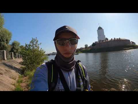 Видео: Рыбалка в Выборге. Спиннинг, джиг, и три вида рыбы. #fishing #travel #nature