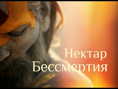 Видео: Ваше бытие - это начало и конец ума. Нисаргадатта Махарадж. Нектар Бессмертия