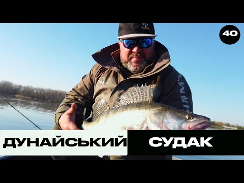 Видео: Дунайський Судак | Трофей на Морі №40