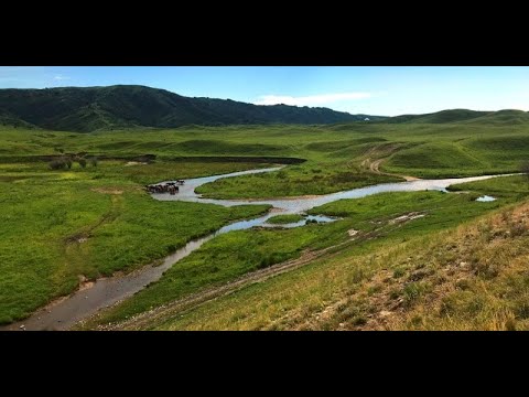 Видео: Талдыкорган: в краю курганов