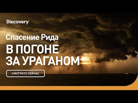 Видео: Спасение Рида | В погоне за ураганом | Discovery