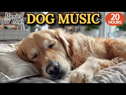 Видео: 24 часа успока-ивающей музыки для собак🐶💖Анти-стресс мелодии для собак🦮🎵Снимает страх звуков