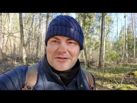 Видео: Река Амата. Продолжения прогулок. Часть 2. ННК Истории. #хайкинг