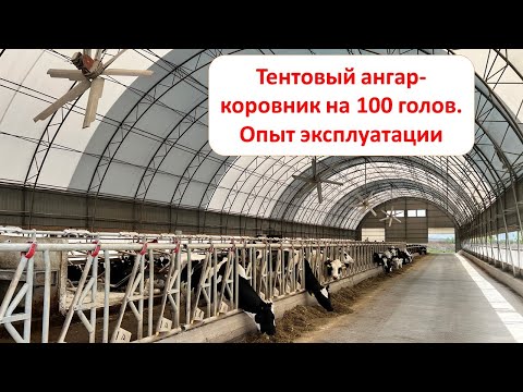 Видео: Тентовый ангар для КРС - комфортная альтернатива традиционному коровнику. Отзыв владельца