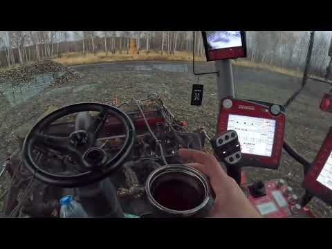 Видео: 29 октября 2025 г.