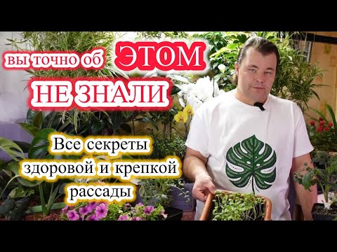 Видео: Всё о выращивании рассады и не только.