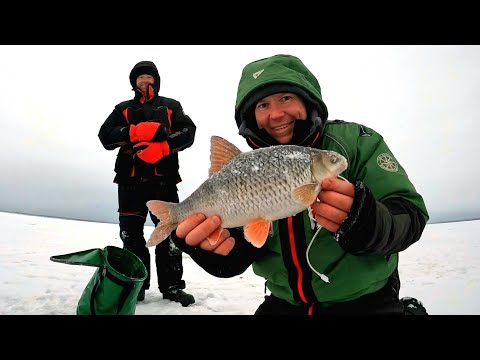 Видео: Рыбалка ШОК!!! КИЛОГРАММОВАЯ ПЛОТВА рвет мормышки с леской и тащит удочку. Лучшая рыбалка в жизни.