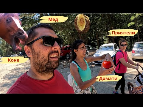 Видео: ВЪЛШЕБСТВОТО НА СЕЛСКИЯ ЖИВОТ: ПРИЯТЕЛИ, ДОМАТИ, МЕД, КОНЕ