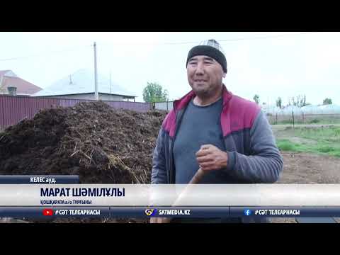 Видео: 05 04 2023 ШЫЛАУШЫНШЫ ҚЫЗ