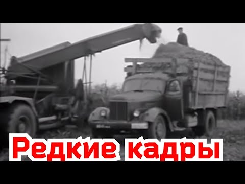 Видео: СПАСИБО ТЕМ КТО СОХРАНИЛ ЭТУ ХРОНИКУ!!!РЕДЧАЙШИЕ ЧАСТНЫЕ КАДРЫ  ВРЕМЕН СССР