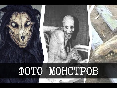 Видео: Фотографии монстров SCP