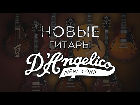 Видео: НОВЫЕ ГИТАРЫ D'ANGELICO УЖЕ У НАС!