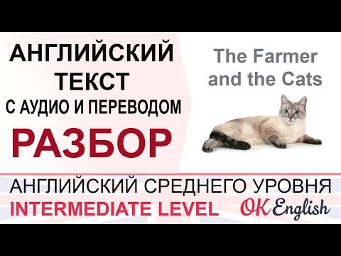 Видео: The Farmer and the Cats. Английский текст с переводом. Уроки английского средний уровень