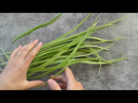 Видео: Леплю траву из холодного фарфора. I sculpt grass from cold porcelain.