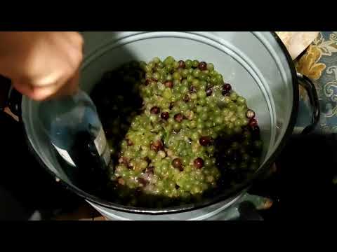 Видео: заболел, лечусь самым вкусным лекарством, делаю сок из винограда