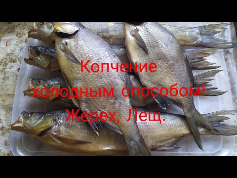 Видео: Холодное копчение рыбы (Жерех и Лещ)