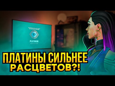 Видео: ПЛАТИНЫ СИЛЬНЕЕ РАСЦВЕТОВ?! / #валорант #valorant