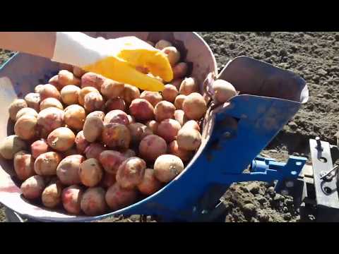 Видео: Обзор картофелесажалки... Посадка картофеля.