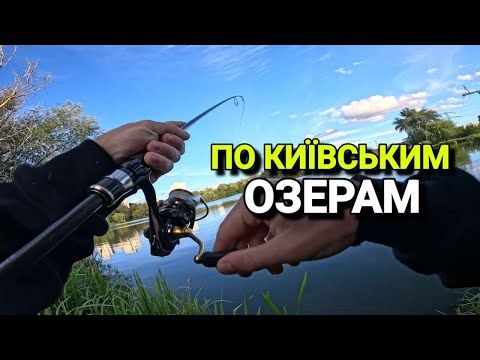 Видео: Мікроджиг По Озерам КИЄВА ✅ Судак Розвівся Скрізь!