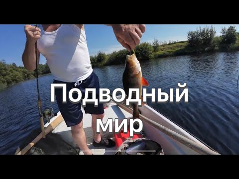 Видео: Подводная история. Day 8