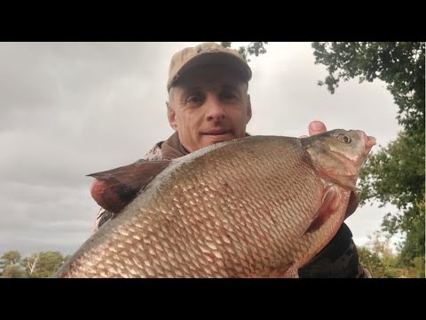 Видео: НАКОНЕЦ ТО ЛЕЩ ПОШЕЛ!!!  Рыбалка ночью на острове. ЛОВЛЯ ЛЕЩА НА ФИДЕР.