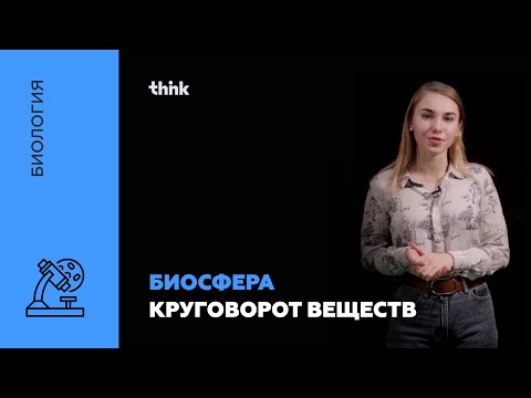 Видео: Биосфера. Круговорот веществ | Биология