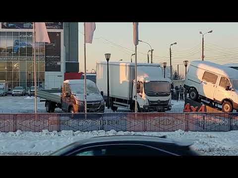 Видео: ПРИЕХАЛ В НИЖНИЙ НОВГОРОД. ОДОЛЕЛИ КРЫСЫ