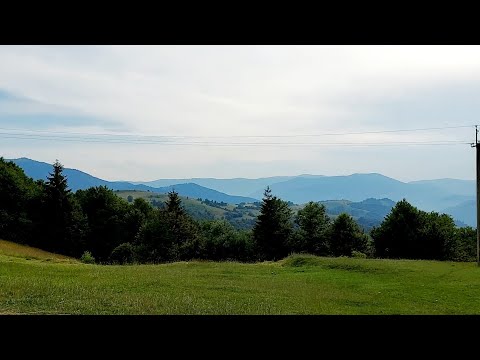 Видео: 🌲Карпати, Синевирський Перевал, Міжгір'я, Гірські села.🌲