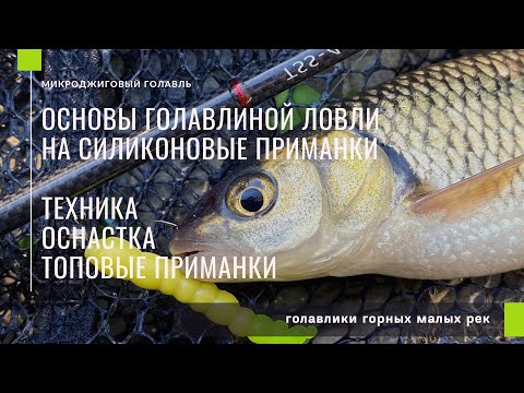 Видео: Основы голавлиной ловли на силиконовые приманки. Мои топовые приманки по голавлю.