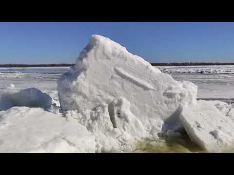 Видео: Ледоход на Волге, в Вольск пришла весна.