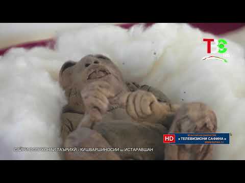 Видео: Сайри осорхонаи таърихӣ - кишваршиносии ш. Истаравшан