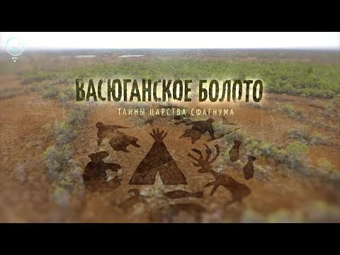 Видео: Телепроект "Пешком по Новосибирской области": 01 июня 2019 (Васюганские болота)