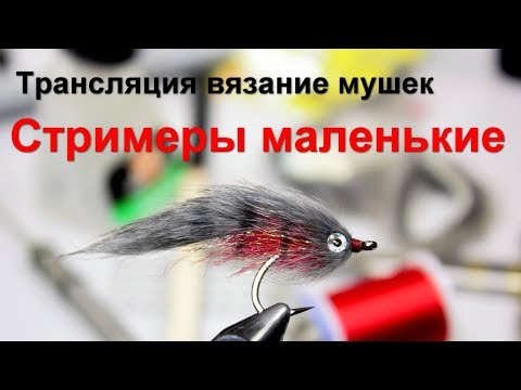 Видео: Стримеры маленькие трансляция по вязанию мушек