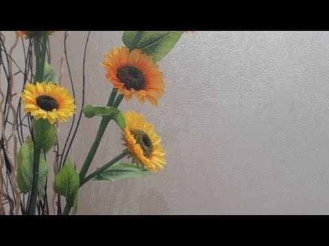 Видео: Информация с потока