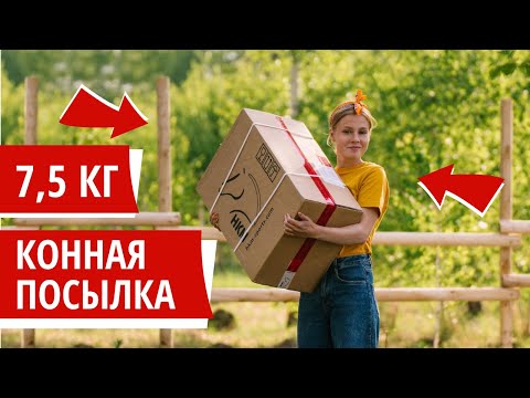 Видео: Распаковка 7,5 кг конной посылки!