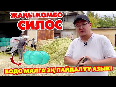 Видео: Оп-Паа! ~ БОДО МАЛГА жаңы ЫКМА менен даярдалган СИЛОС сатылат ~ КОМБО СИЛОС