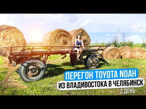 Видео: Перегон авто Toyota Noah из Владивостока в Челябинск с тремя детьми. Доехали до Биробиджана | день 2