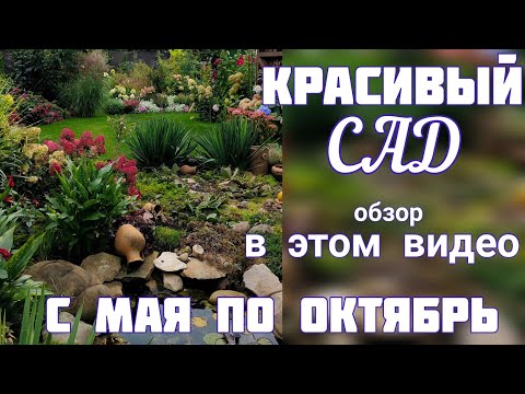 Видео: ЦВЕТЕНИЕ нашего САДА с мая по октябрь в ЭТОМ ВИДЕО.