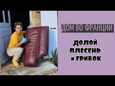 Видео: Избавлсюсь от грибка на кожаном диване| реанимация и уход
