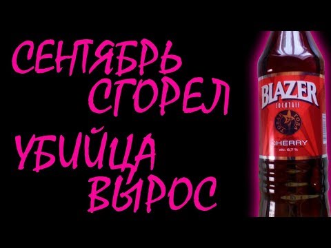 Видео: Отзвуки Прошлого - ВЕРНИ МНЕ МОЙ 2007