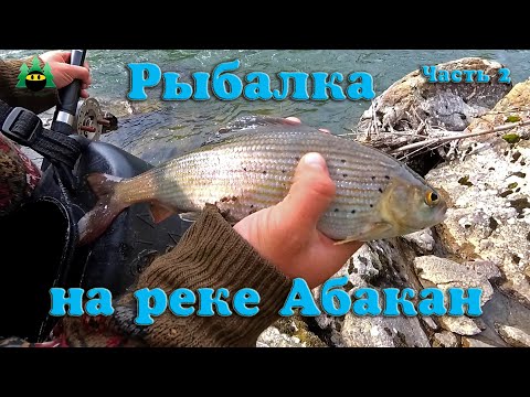 Видео: Хорошая рыбалка на реке Абакан, и ее притоках. Хариус, таймень. (Часть 2). Архив.