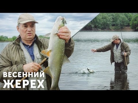 Видео: Ловля жереха весной на Гранку, Ромбик и Торпедку