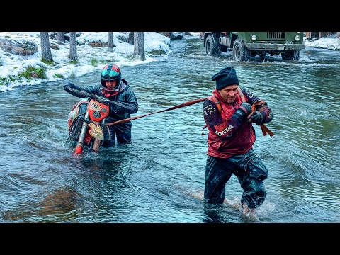 Видео: ЧТО ПРОИСХОДИТ В ЛЕСУ ПОСЛЕ ЗИМЫ? Разведка.
